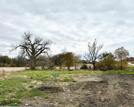 View of the homesite at 1513 Clover Preserve Way.