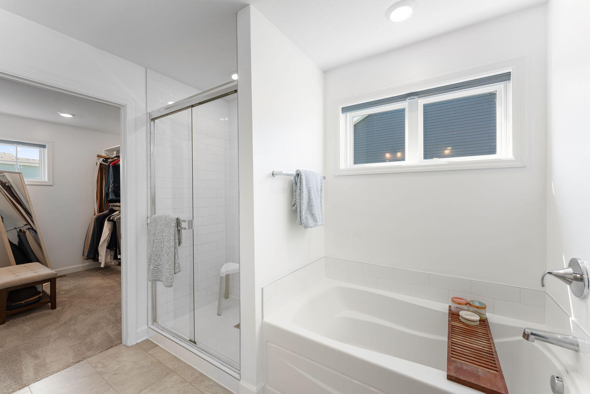 Soaker Tub and Separate Shower