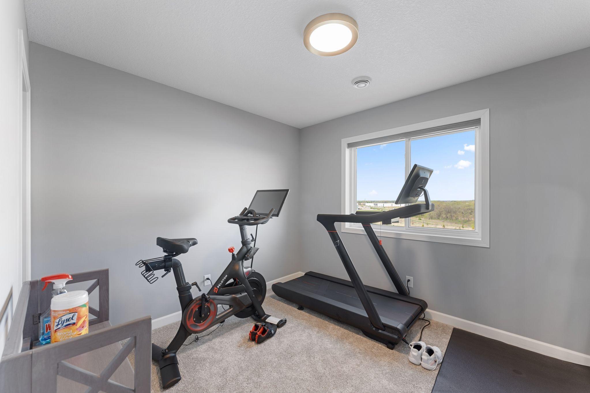Basement Bedroom
