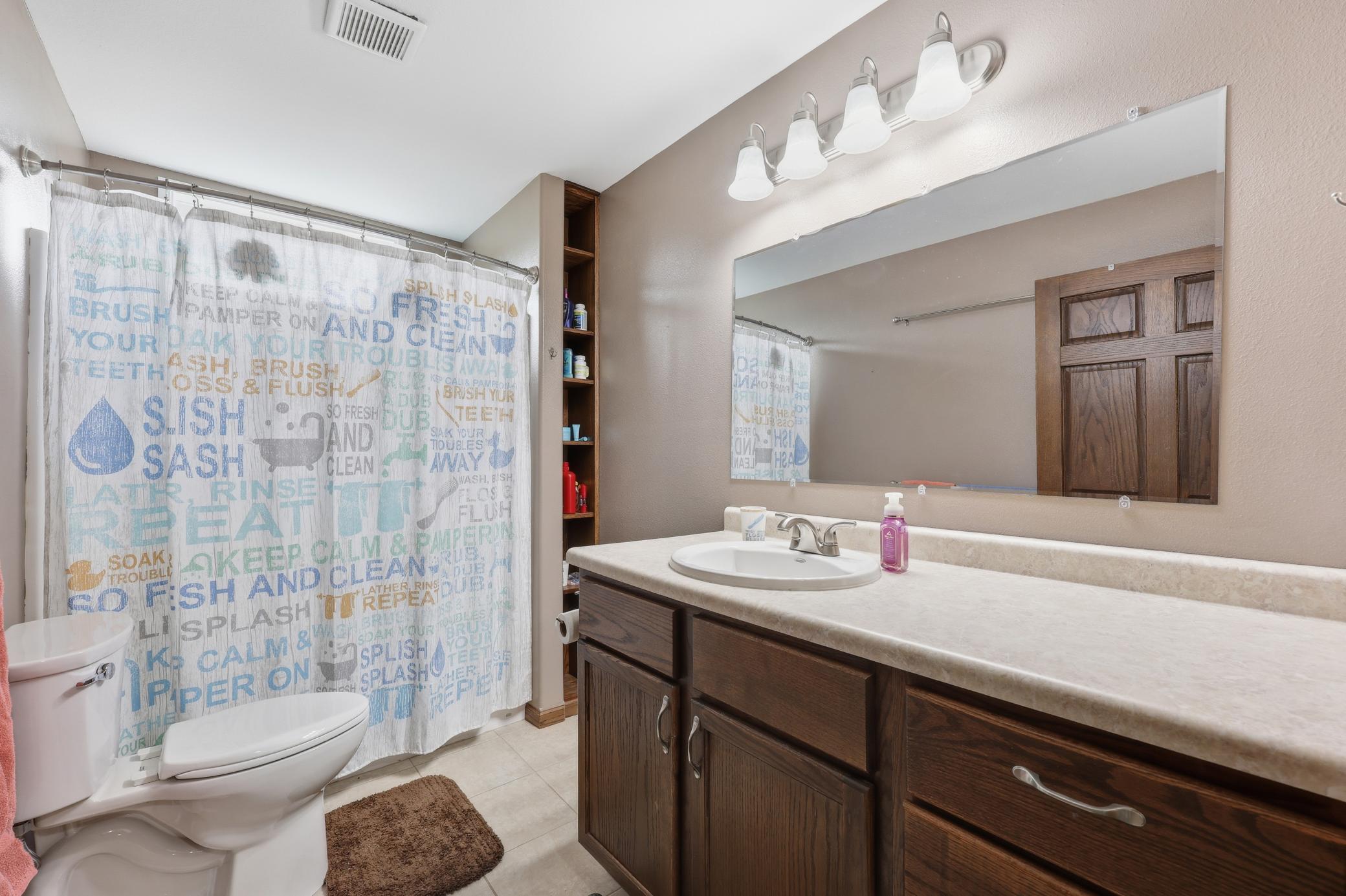 Lower Level Bathroom