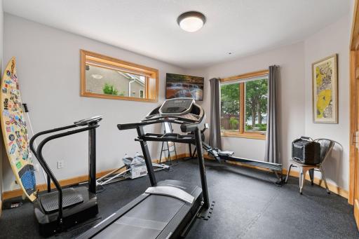Third bedroom in the lower level is currently being used as a home gym with a lake view
