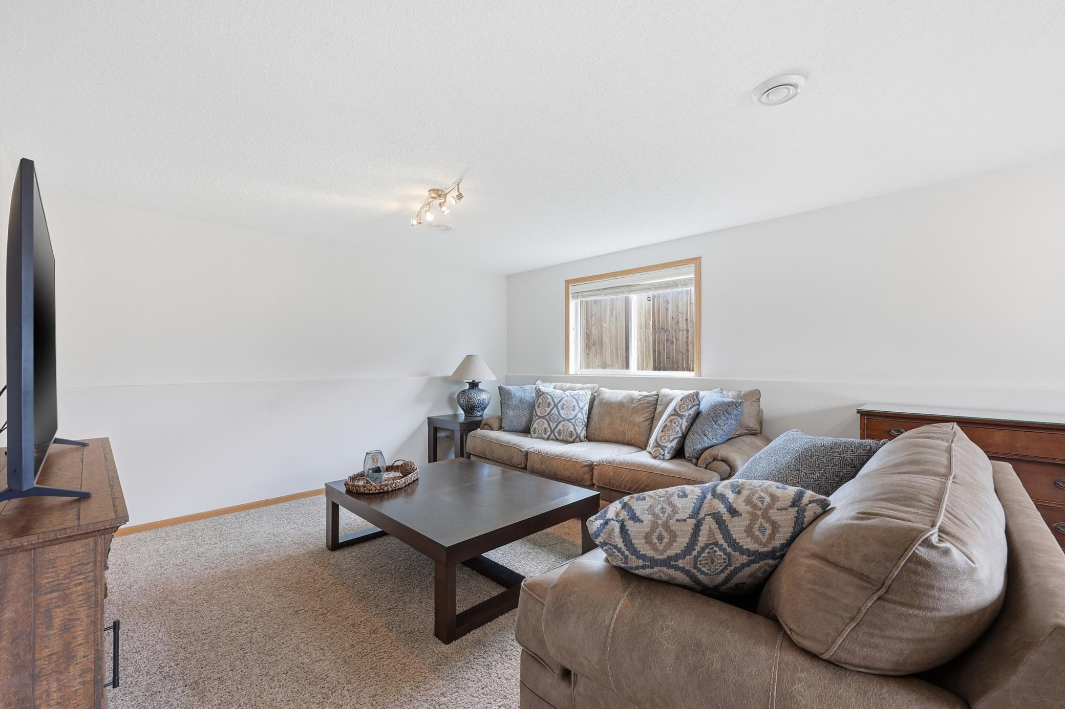 Lower Living Room