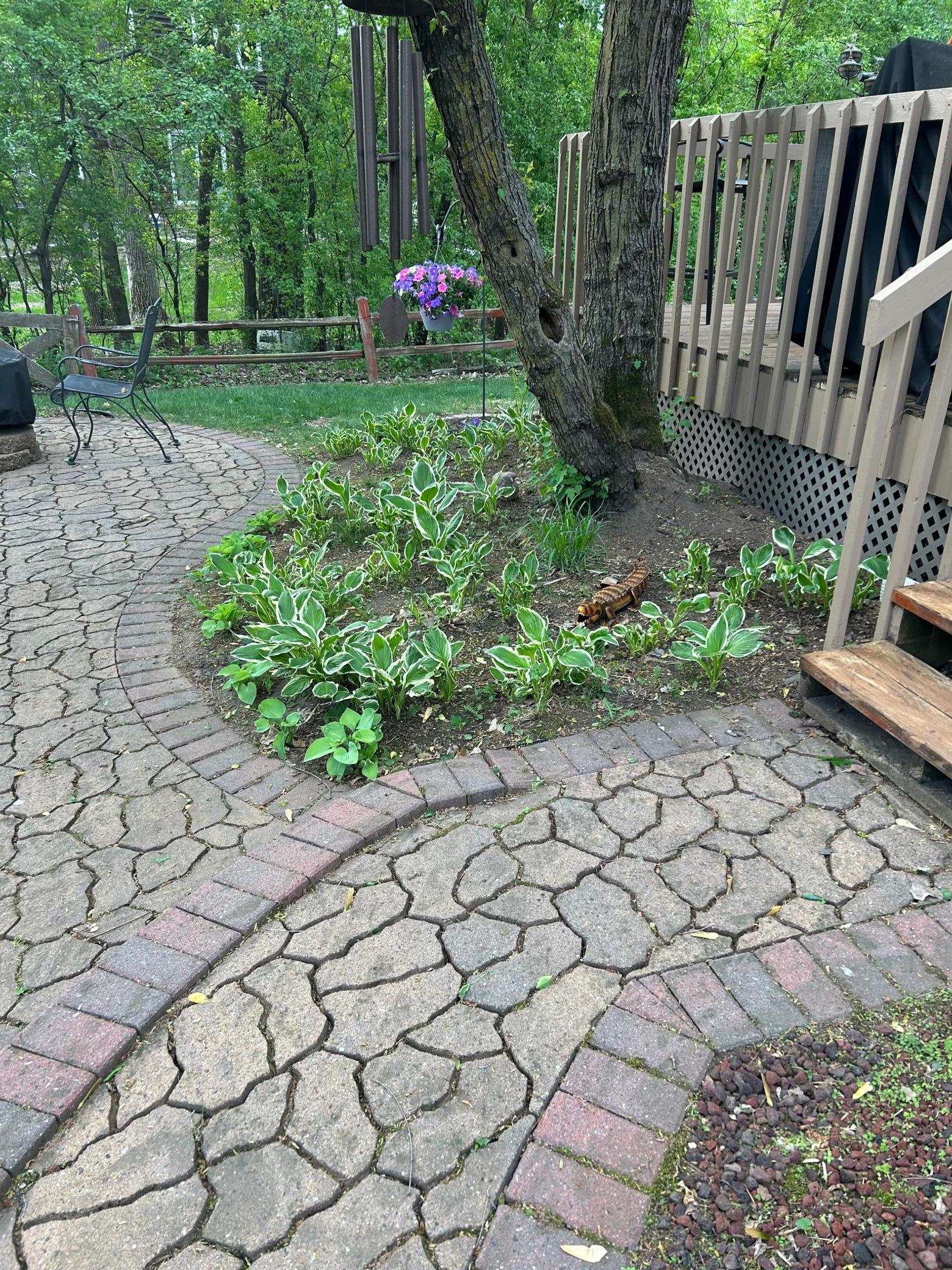 Photo 34