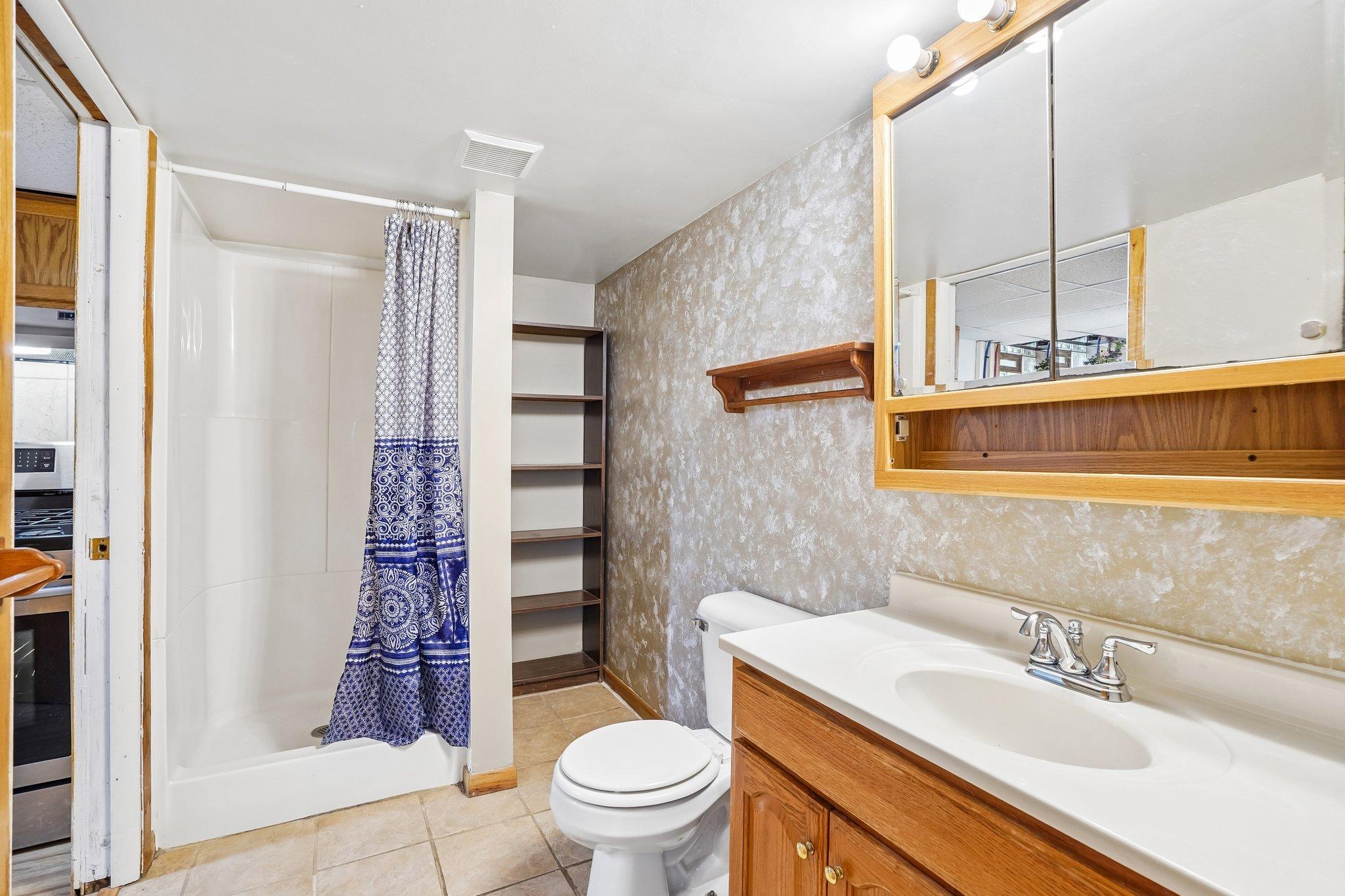 Bathroom basement.jpg