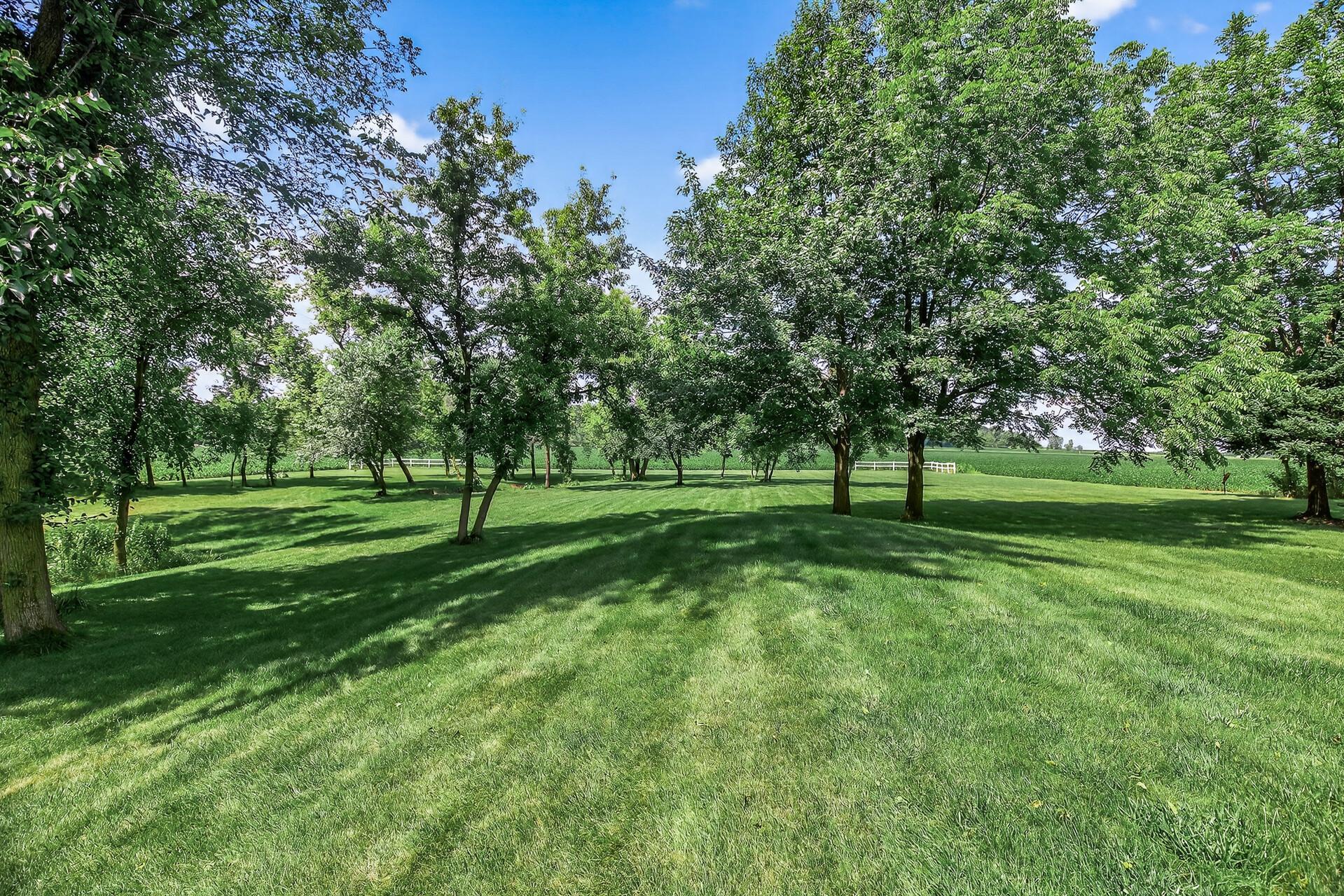 Lots of trees located around the property.