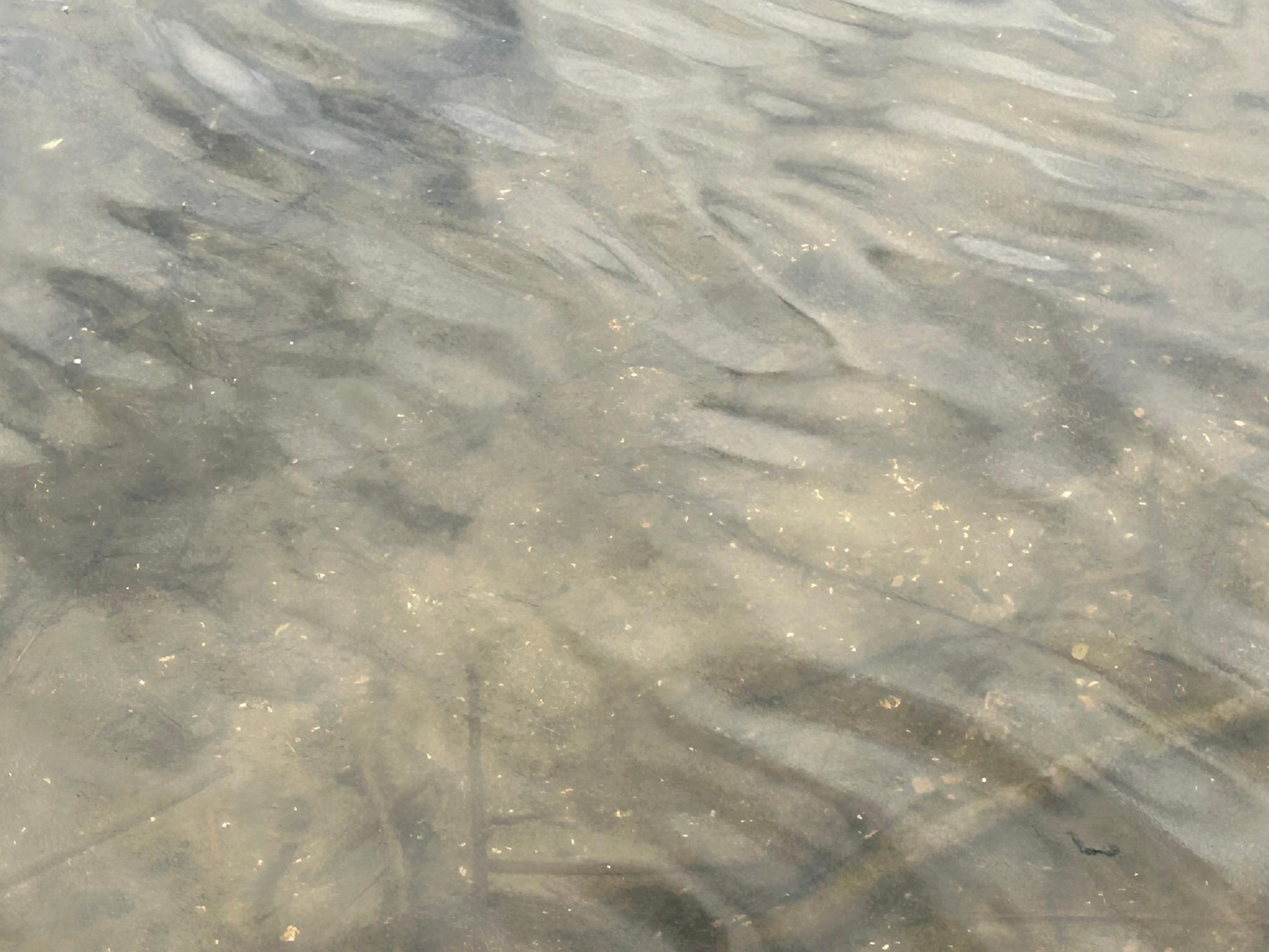 Sandy bottom
