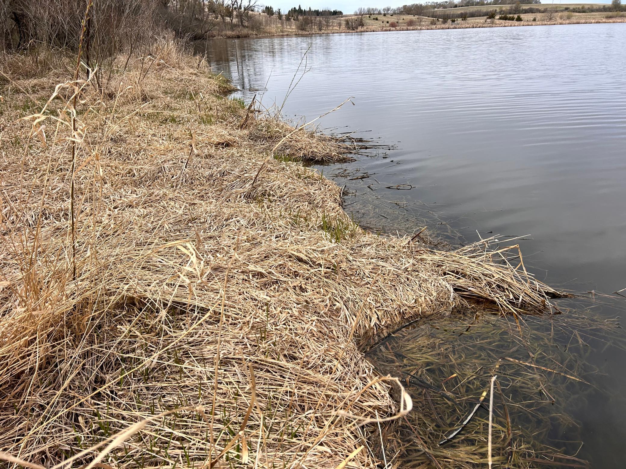 Level shoreline