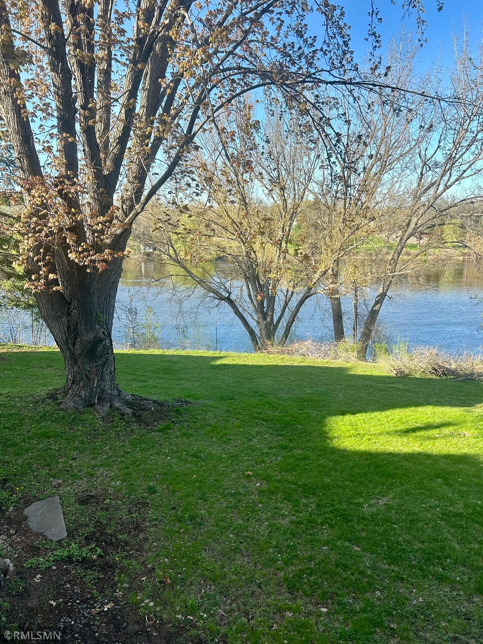 Backyard river view