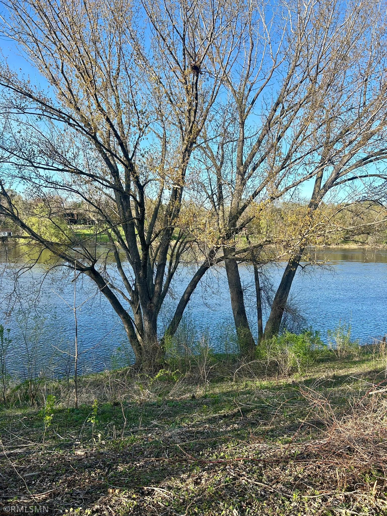 View of river from backyard