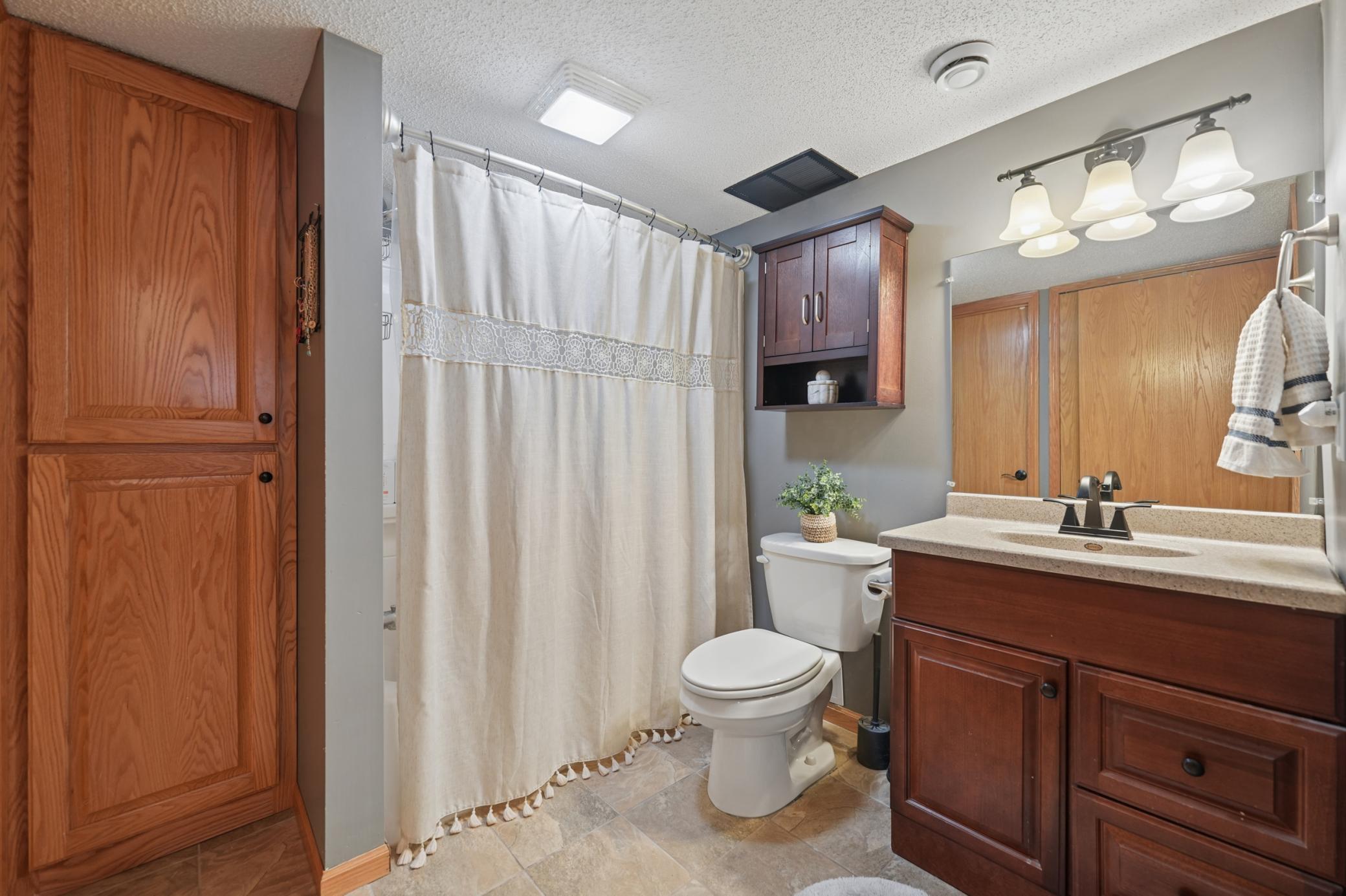 Lower level bathroom