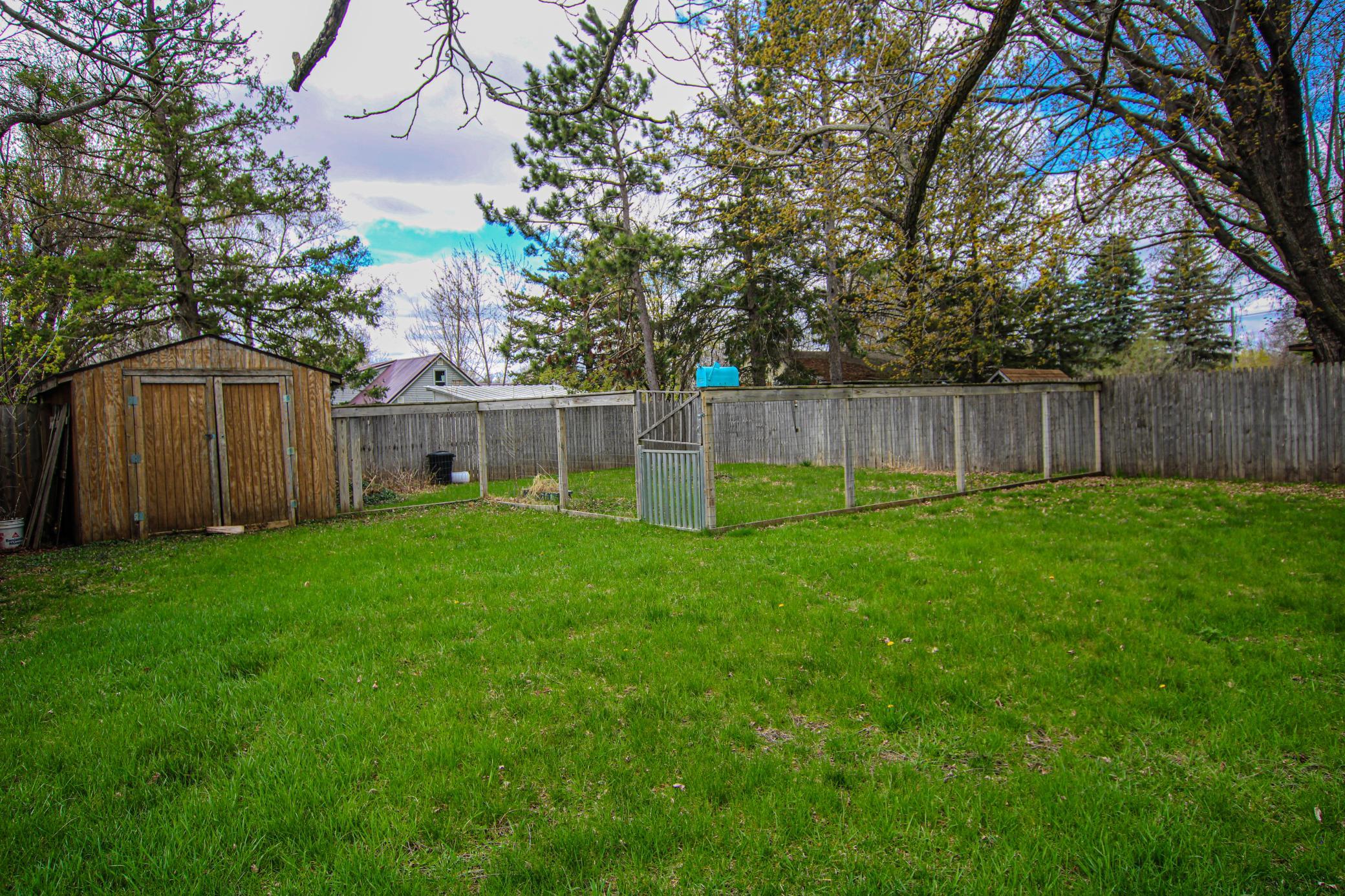 Exterior Yard.jpg