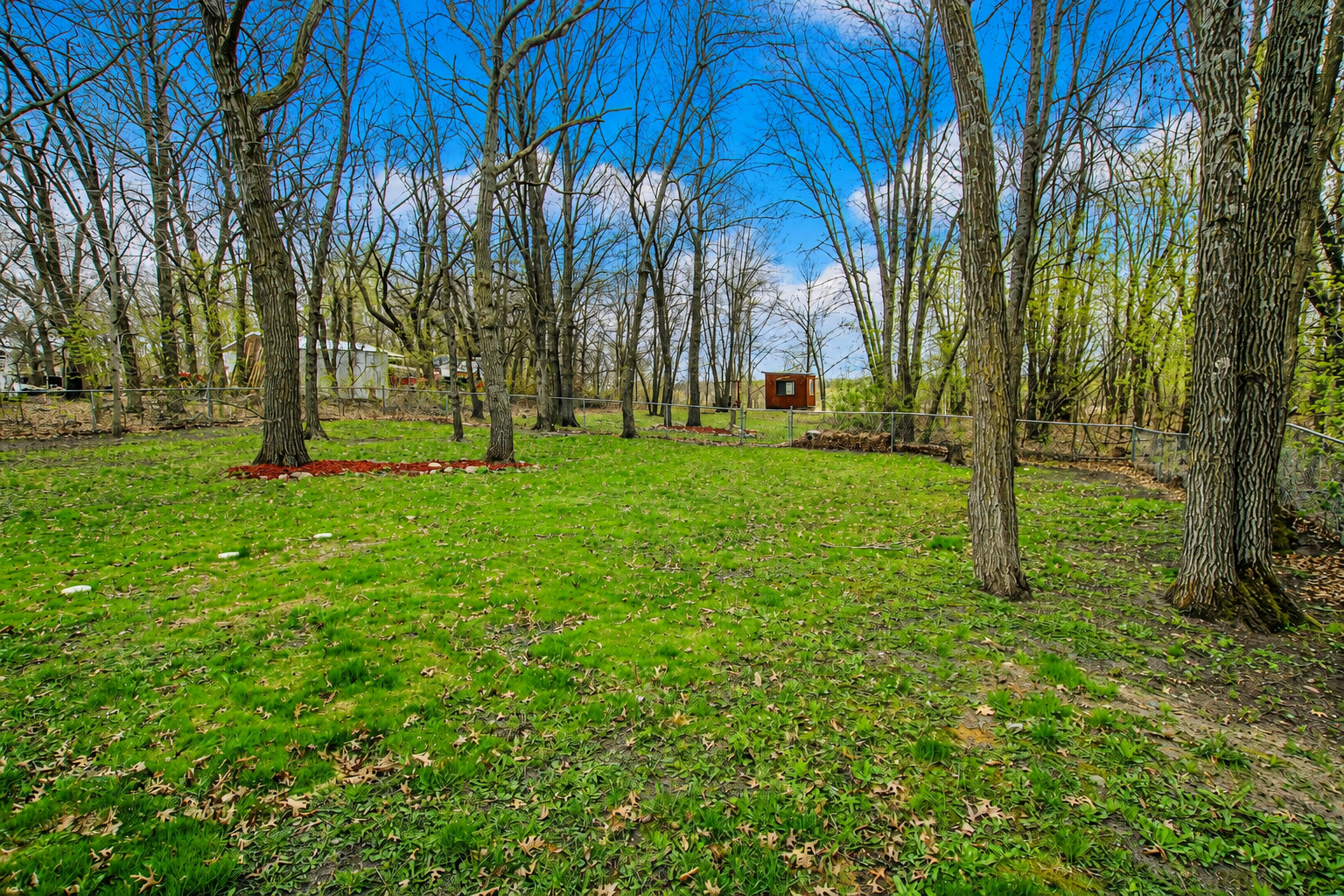 Backyard.png