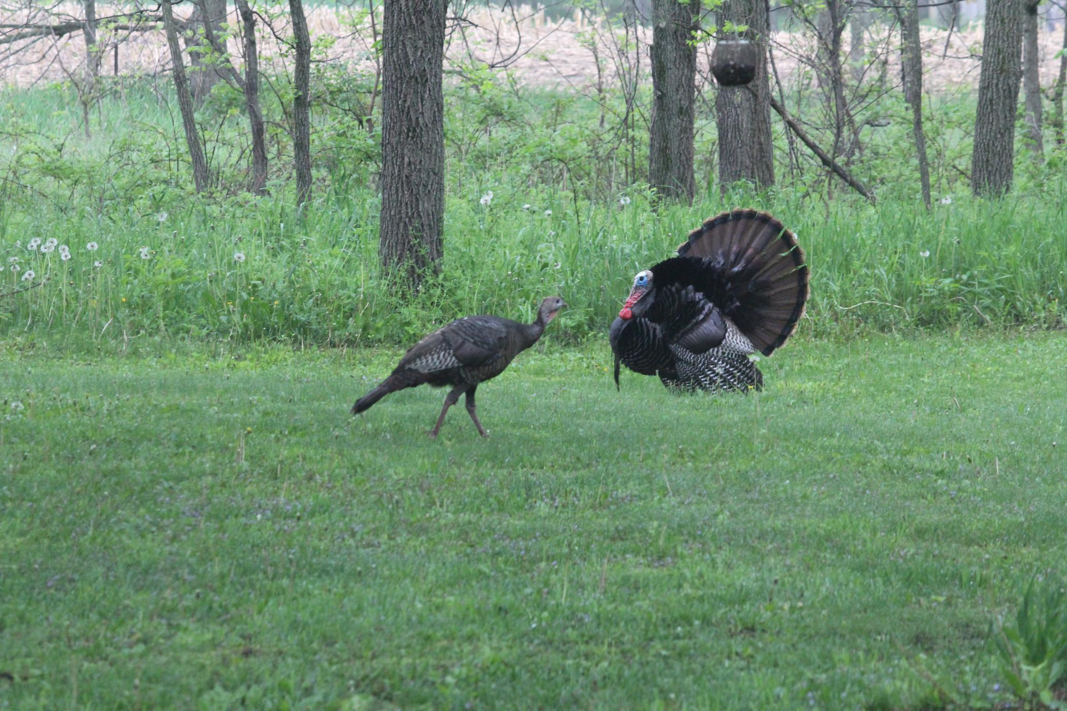 IMG_1088.JPG