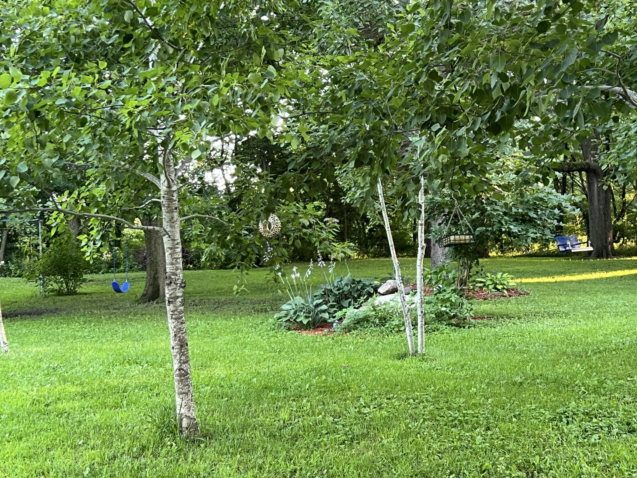 private backyard.jpg