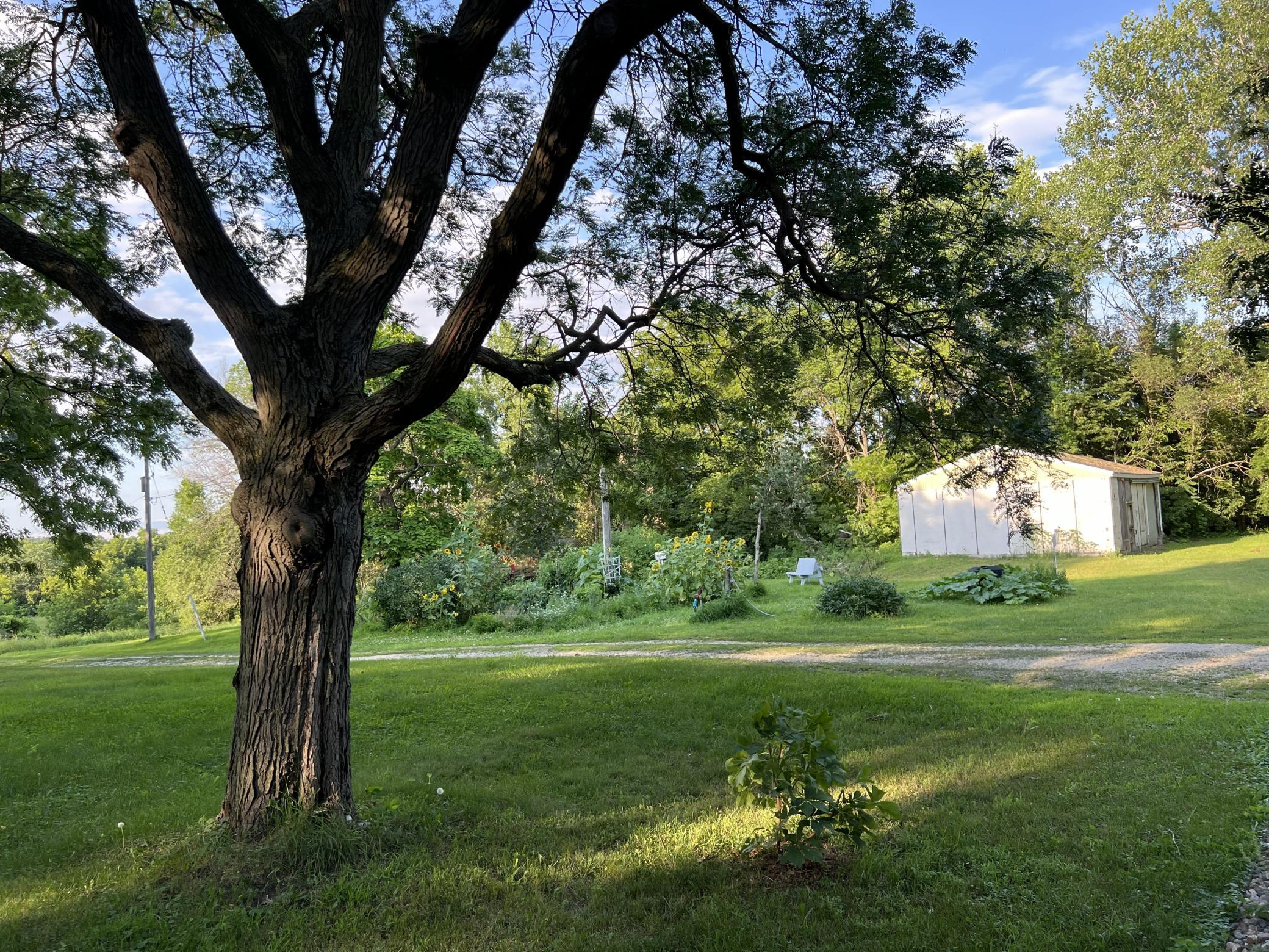 garden and shed.jpg