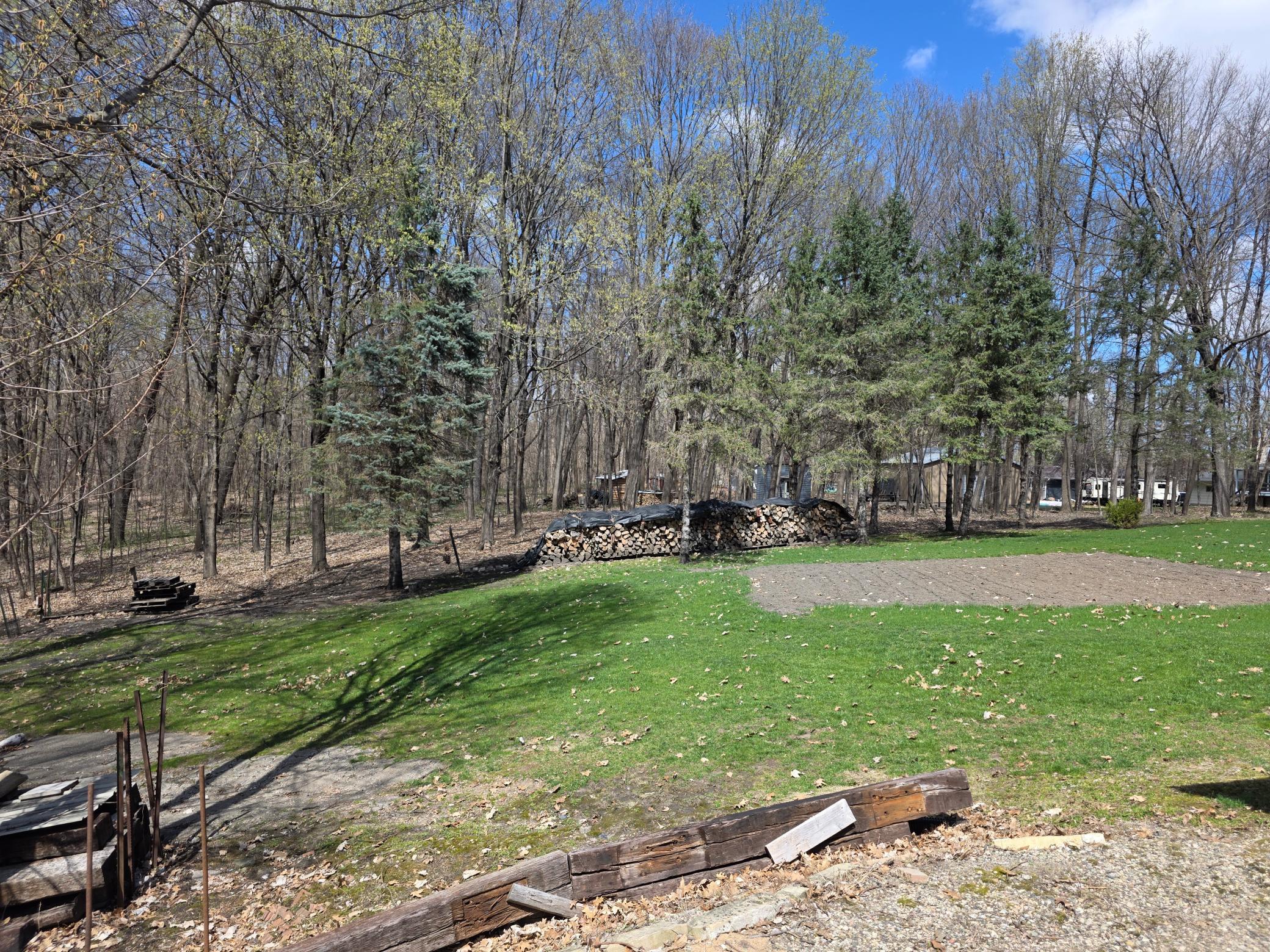 Back yard with garden