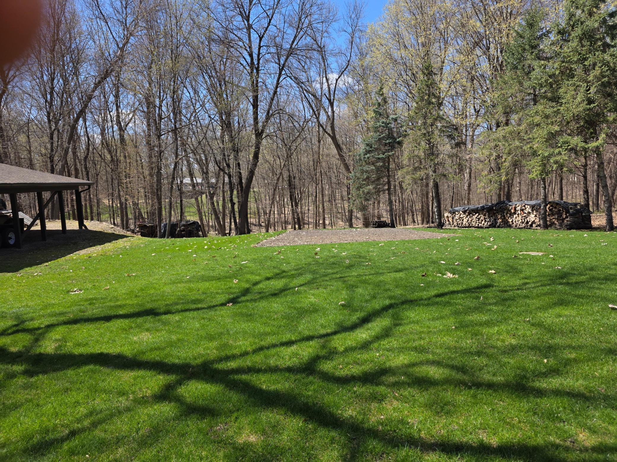 back yard