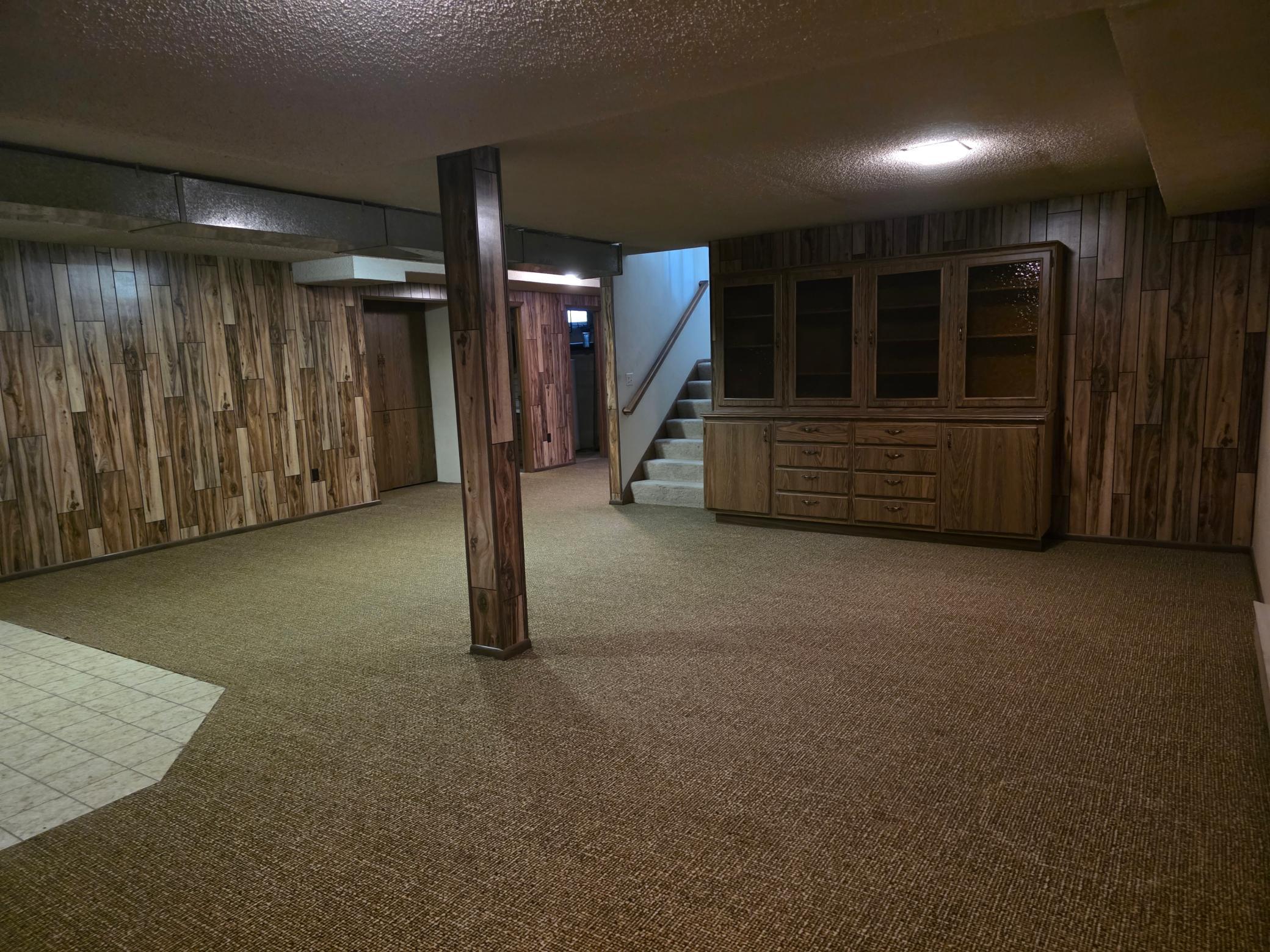 Lower level Family Room