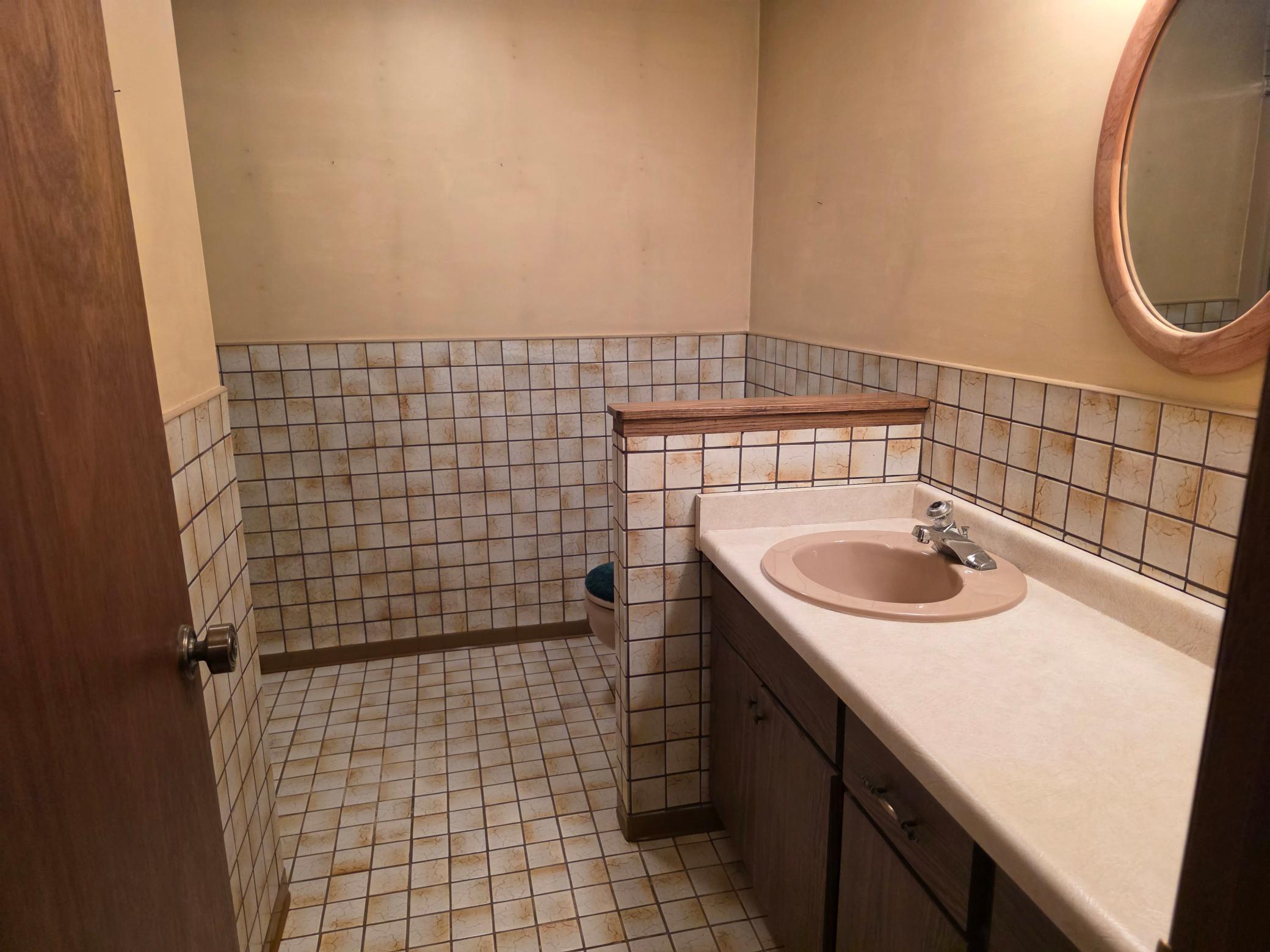 Basement Bathroom