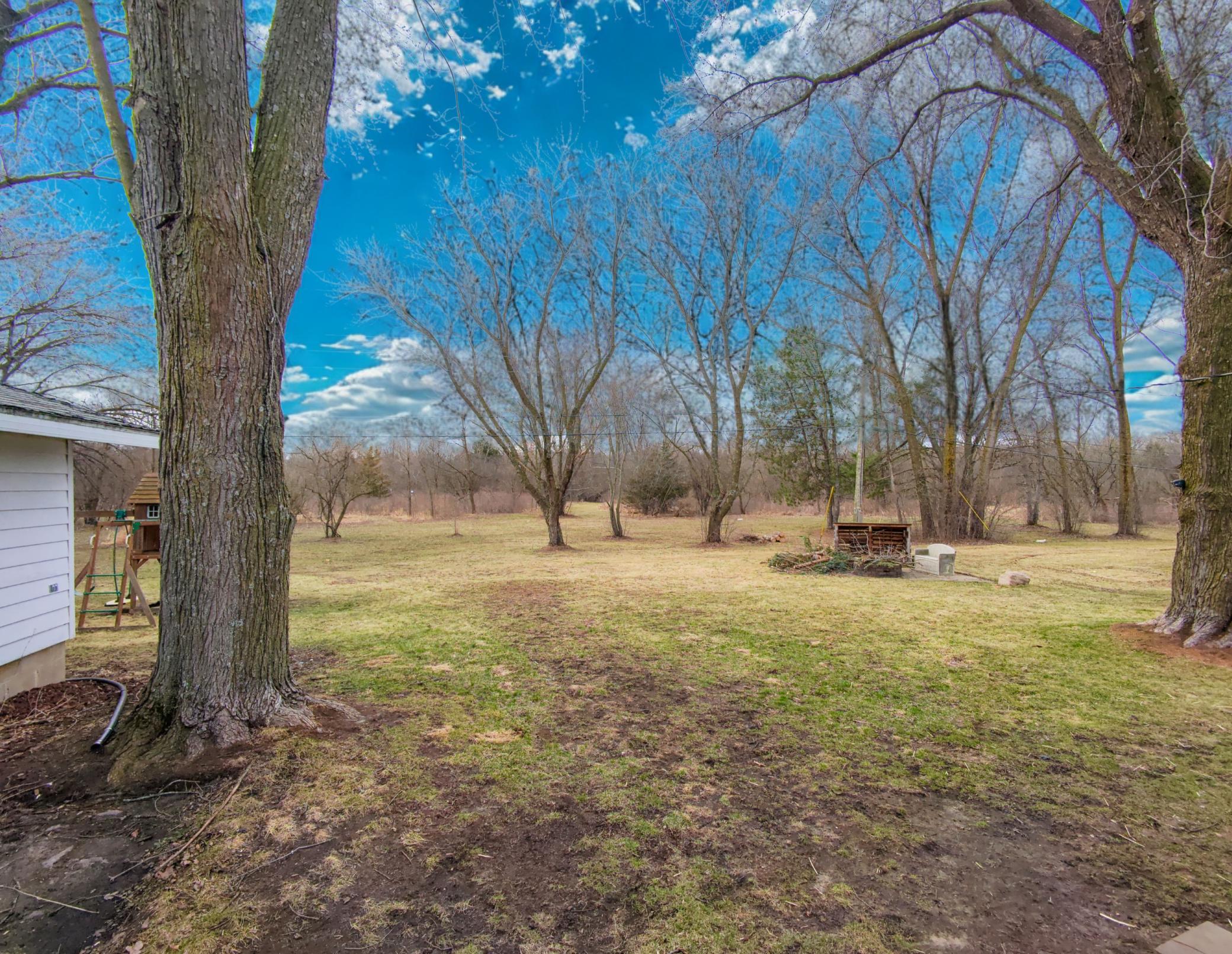 Backyard - Firepit