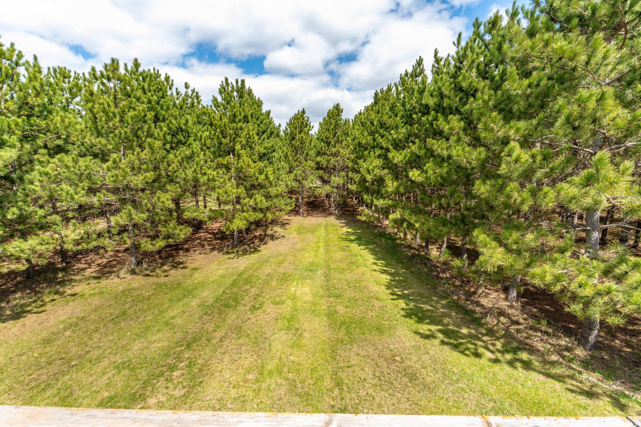 47500 Co HWY 51 Perham-127.jpg