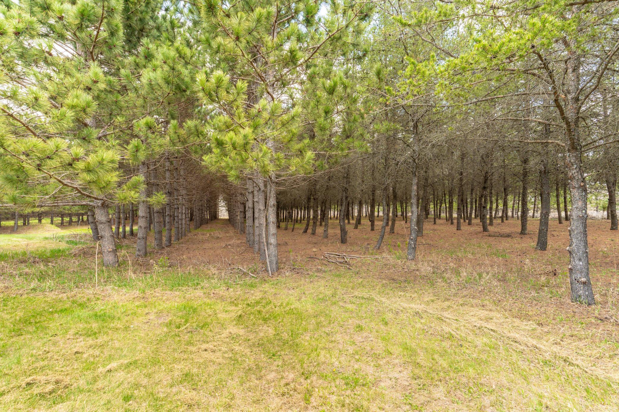 47500 Co HWY 51 Perham-128.jpg