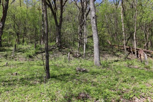 398 Pleasant Hill Drive, Winona, MN 55987