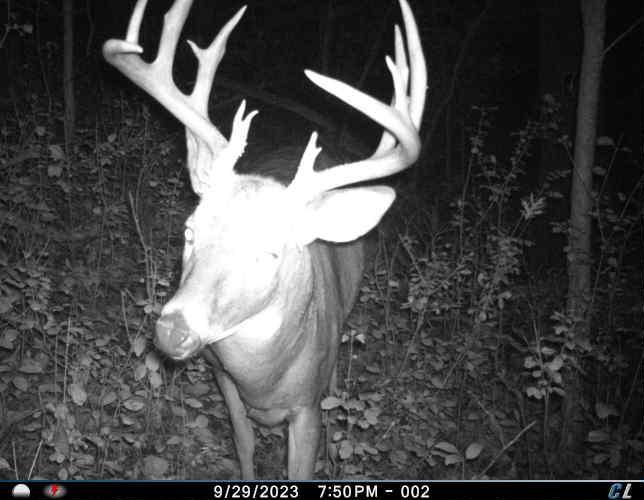 8.jpeg