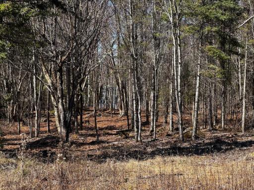 417 Barrel Road, Ely, MN 55731