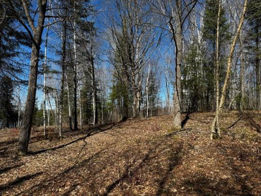 417 Barrel Road, Ely, MN 55731