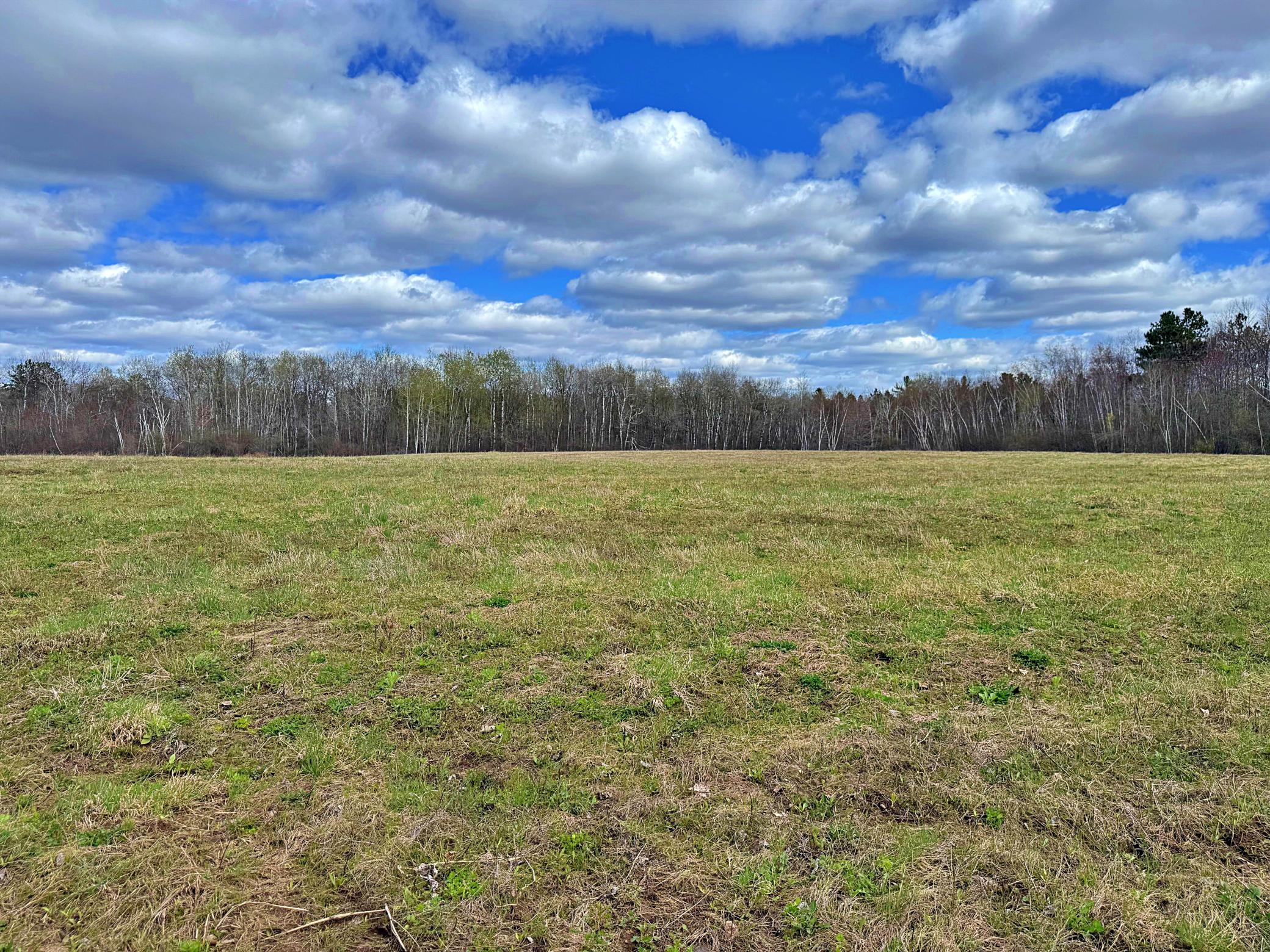 10 acres with open grassy space.jpeg