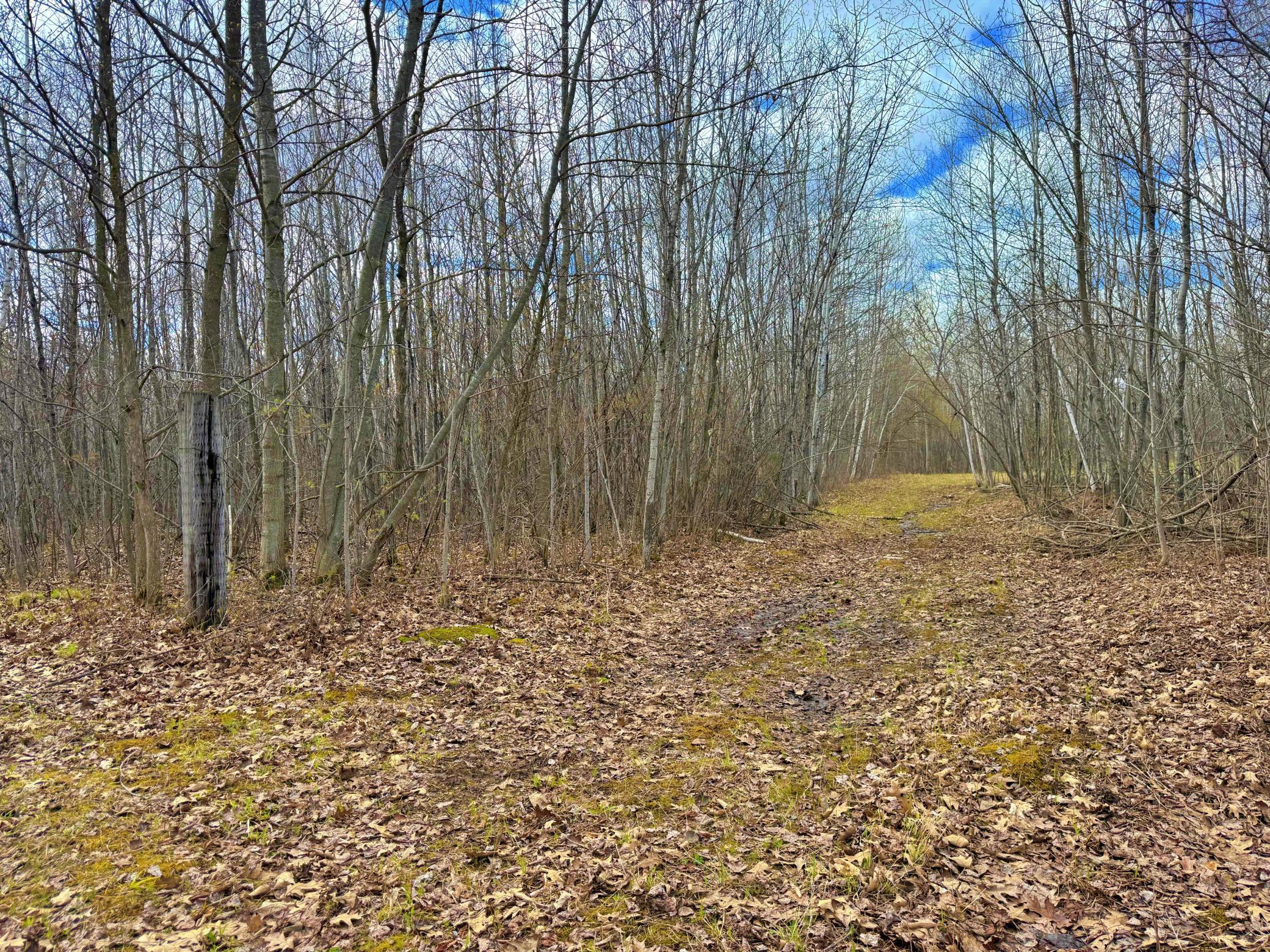 10 acres of trail through the woods.jpeg