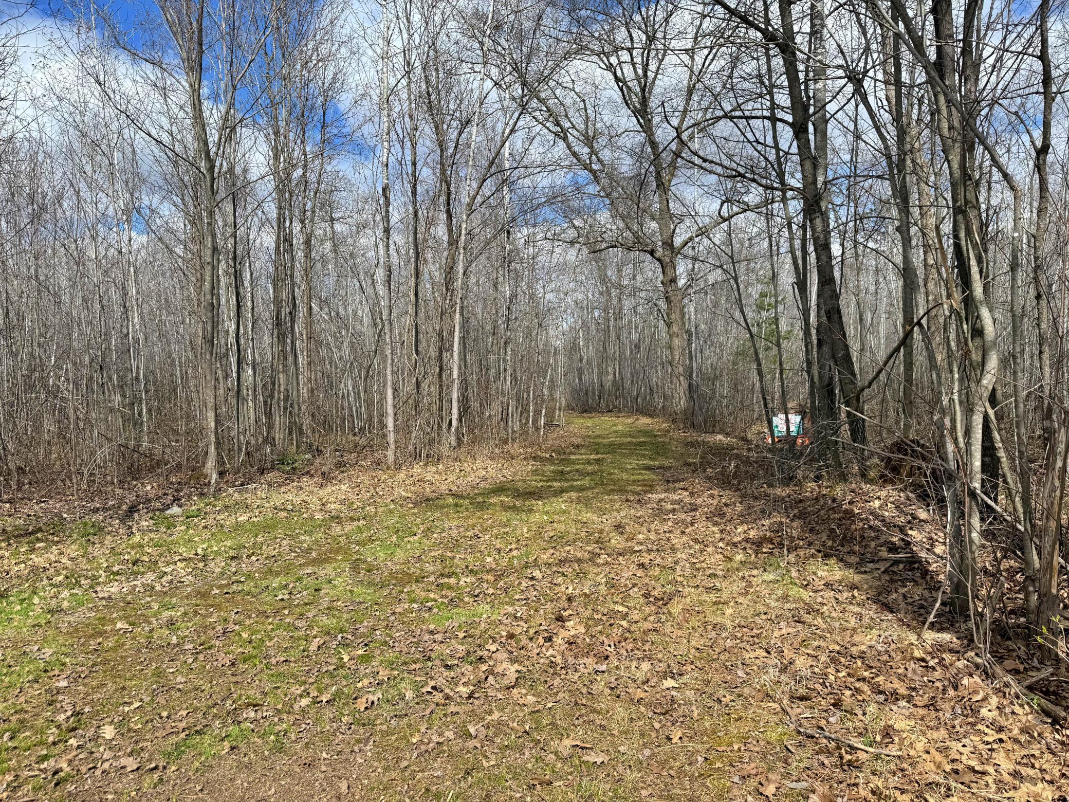 10 Acres with trails.jpeg