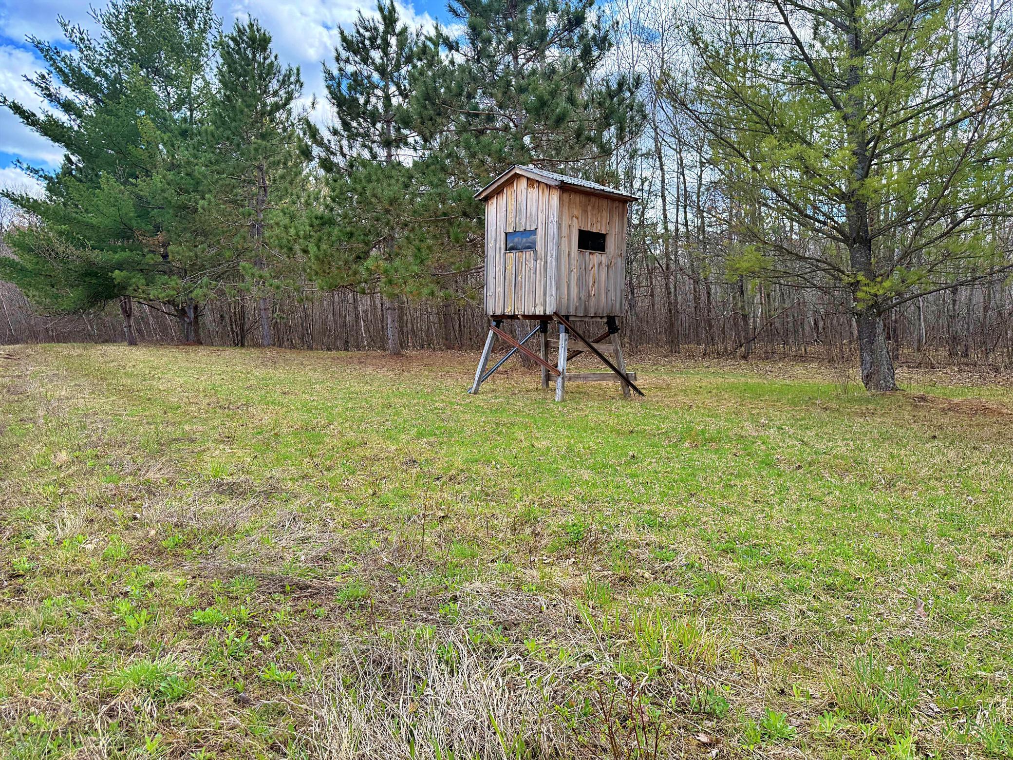 Deer Stand.jpeg