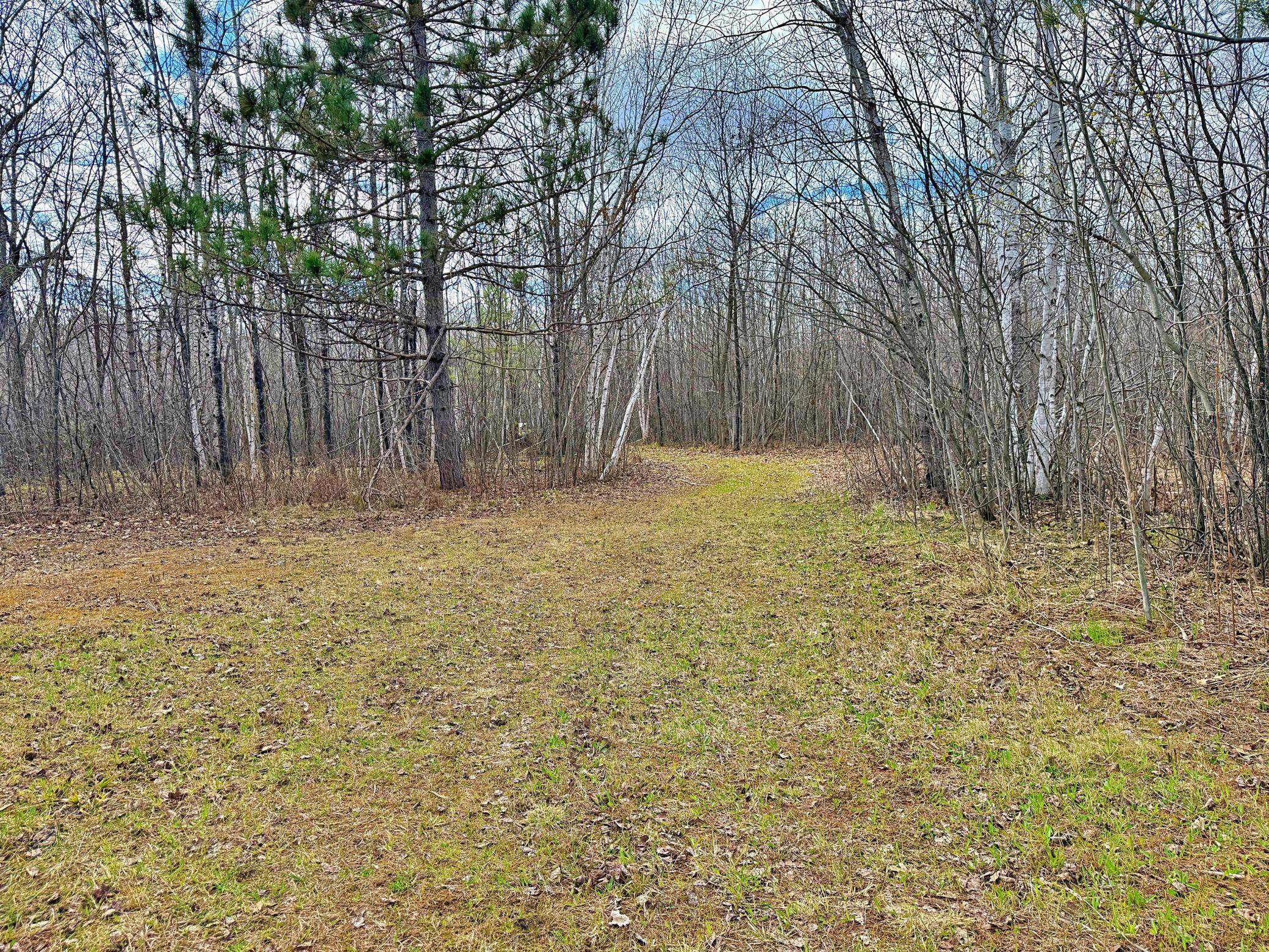 10 acres with wooded trails 2.jpeg
