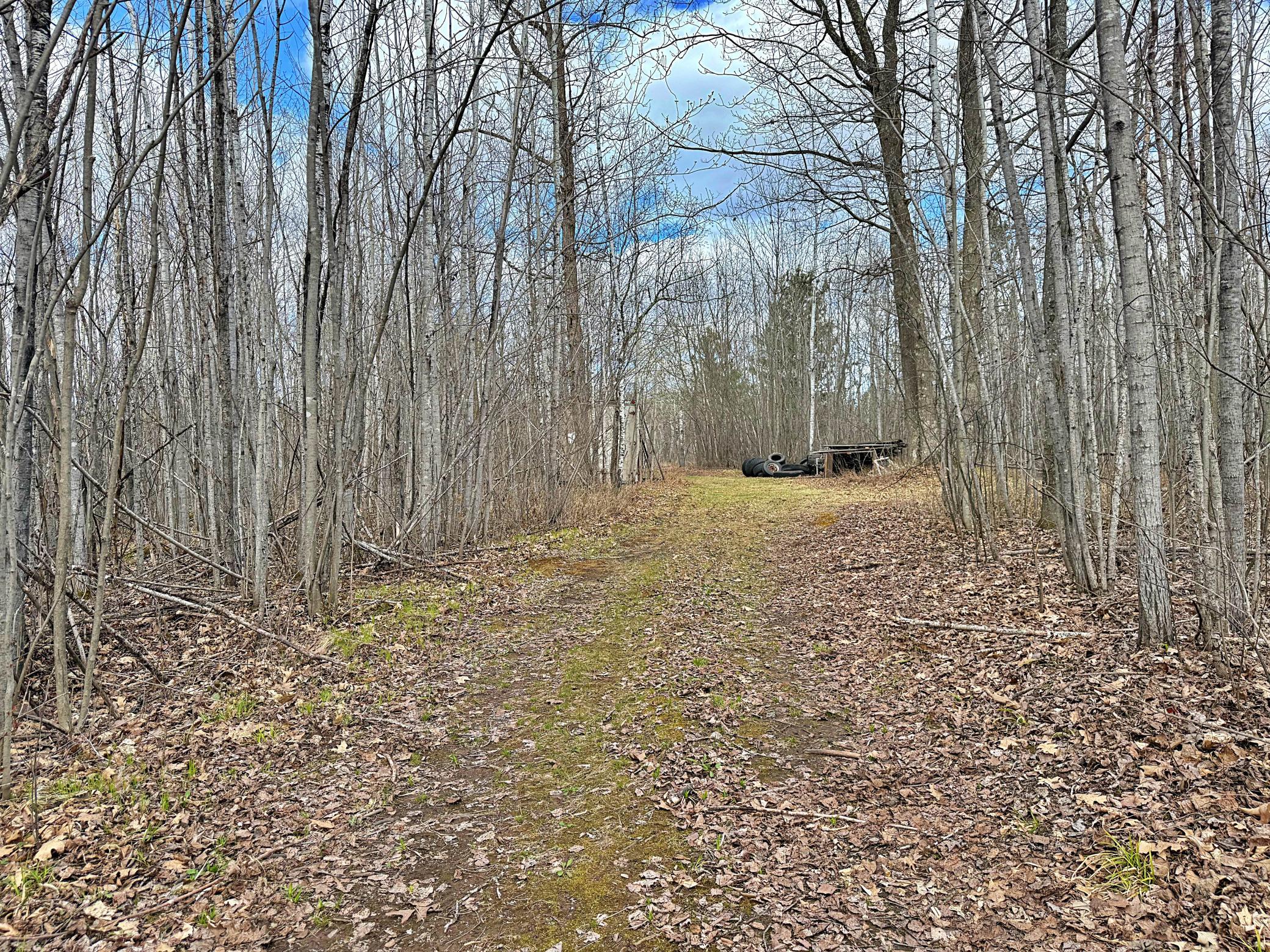 10 acres with wooded trails.jpeg