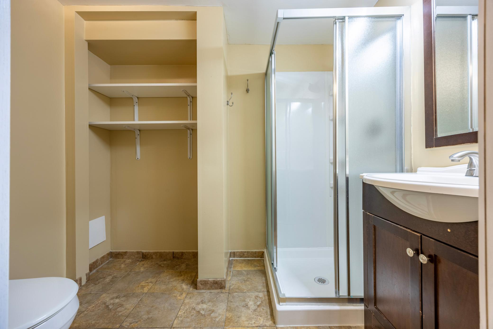 Lower level bathroom