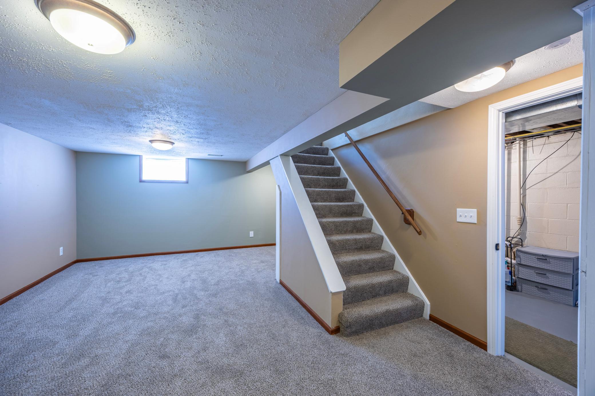 Thoughtfully finished space downstairs