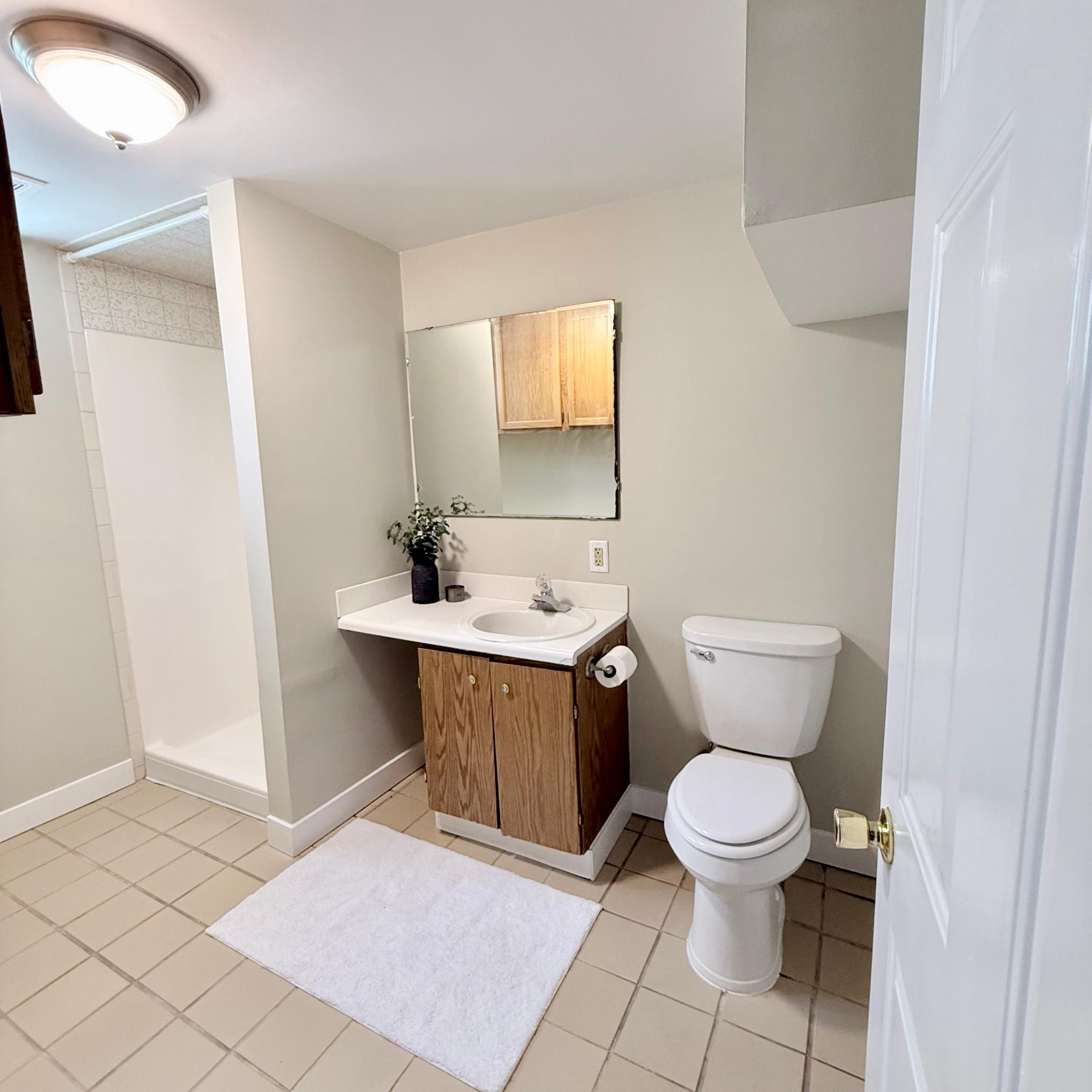Lower Level 3/4 Bathroom