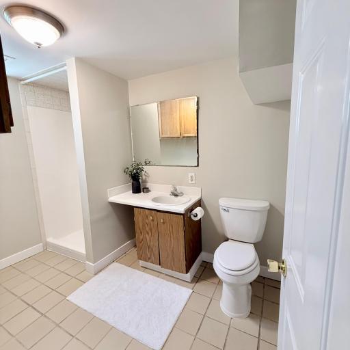 Lower Level 3/4 Bathroom