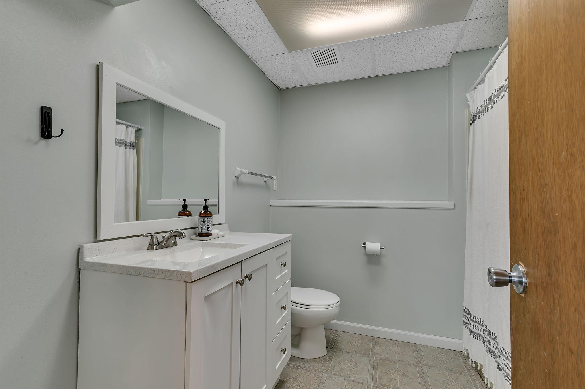 Lower level bathroom