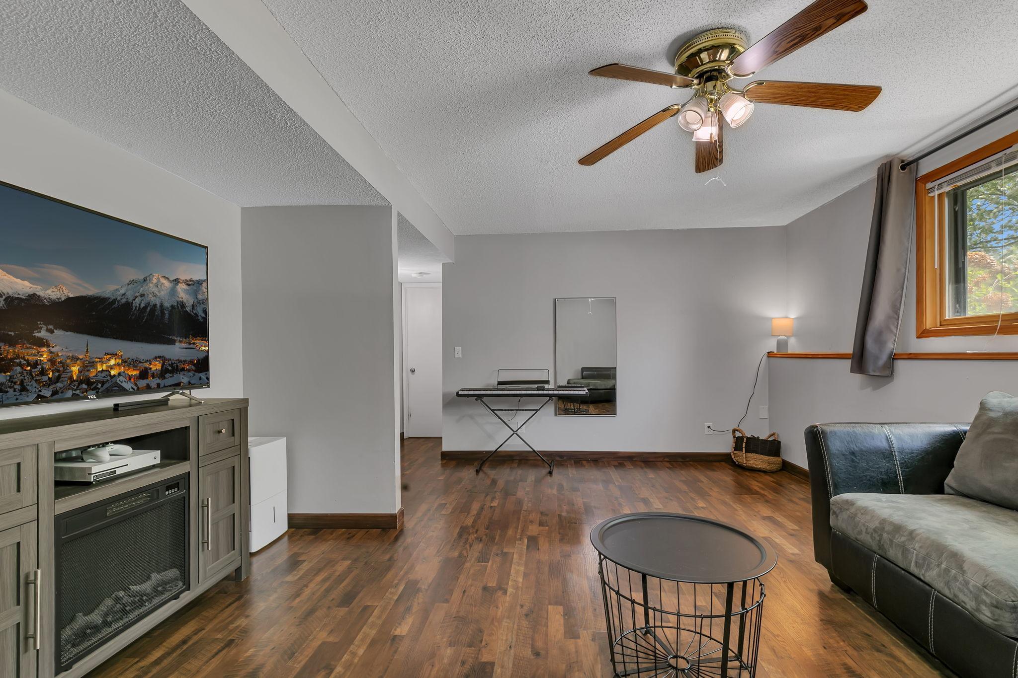 Lower level family room