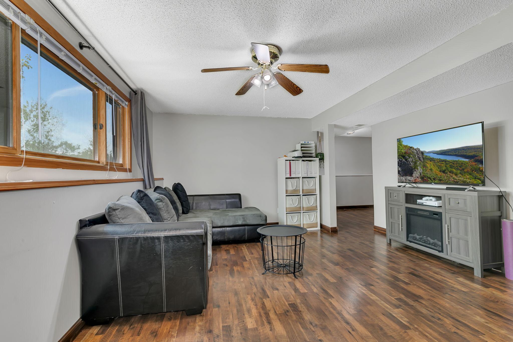 Lower level family room