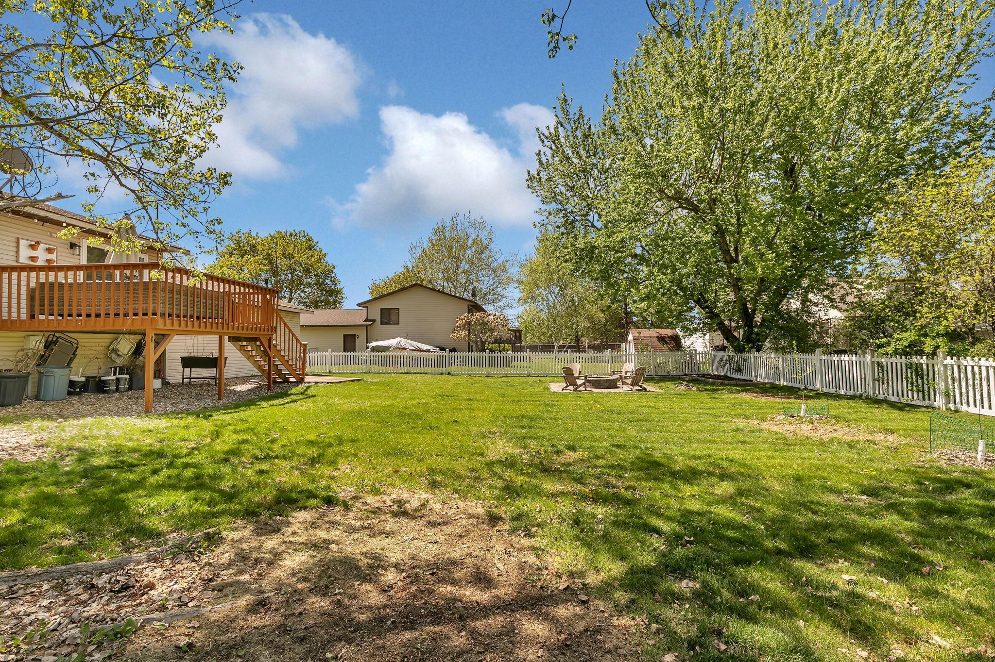 Back yard