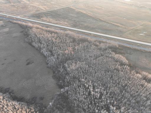 DJI_0787.JPG