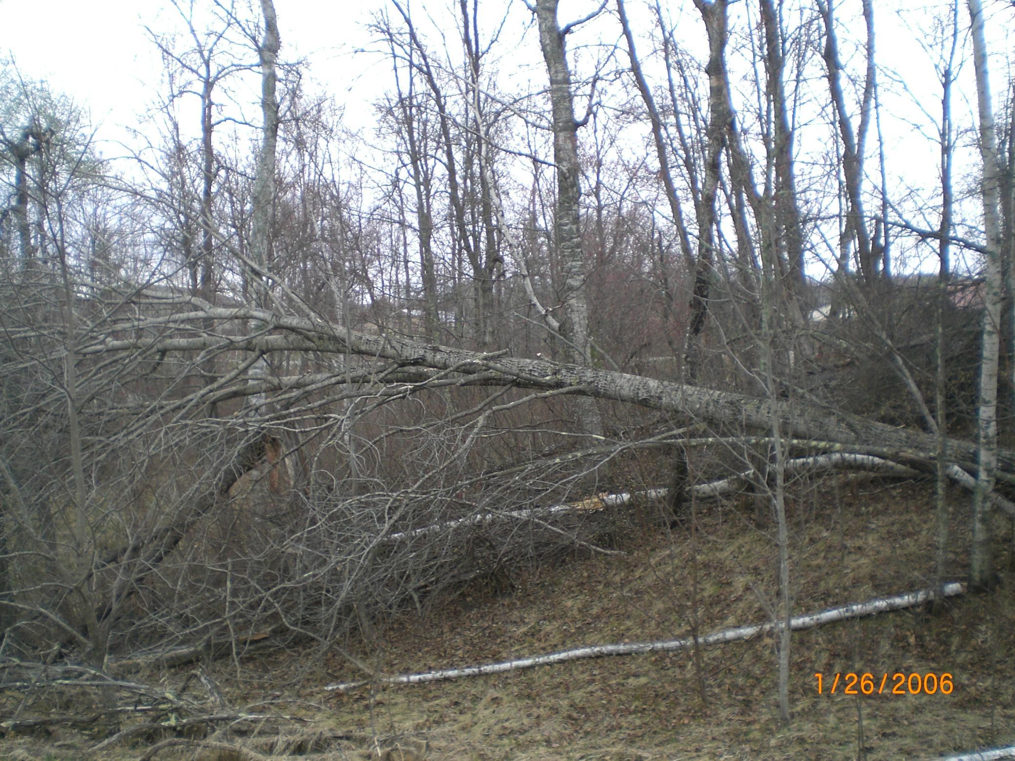 CIMG0003.JPG