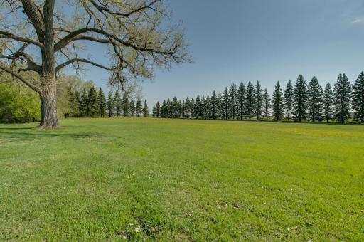 6894 150th Avenue N, Felton, MN 56536