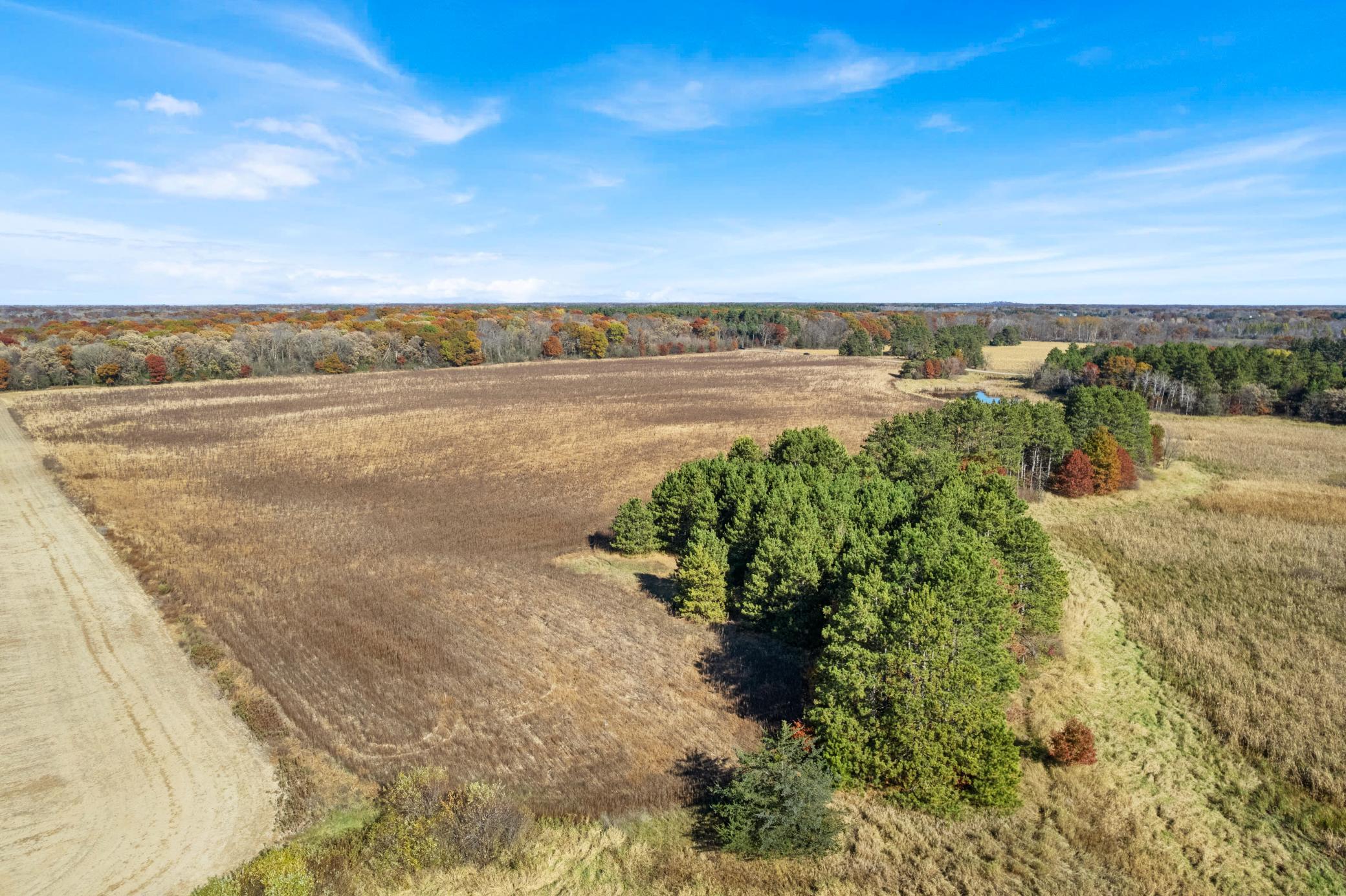 DJI_0066.jpg