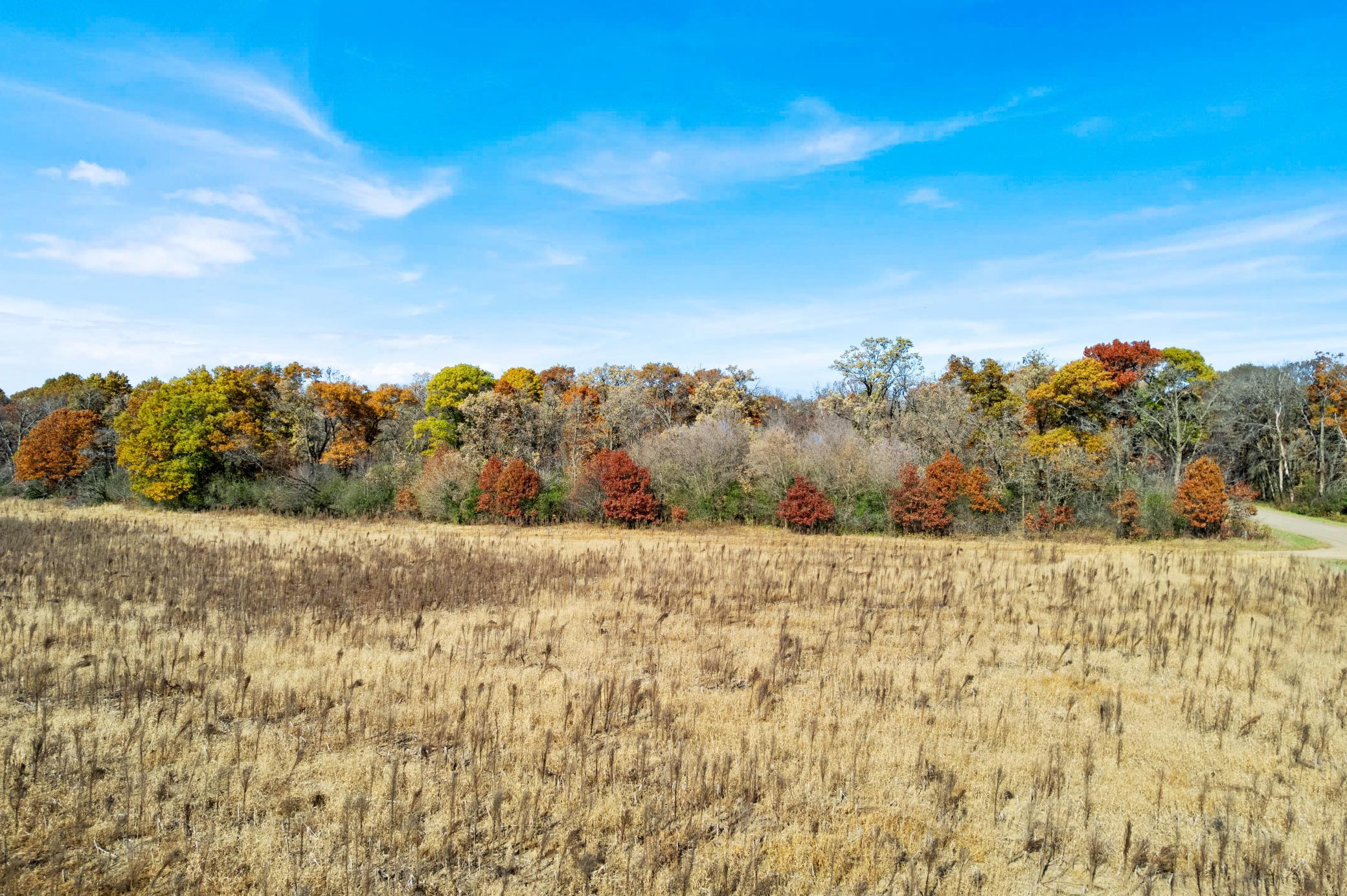 DJI_0001.jpg
