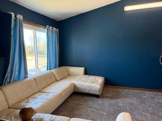 Living Room has hardwood floors under carpet and Vaulted Ceiling.